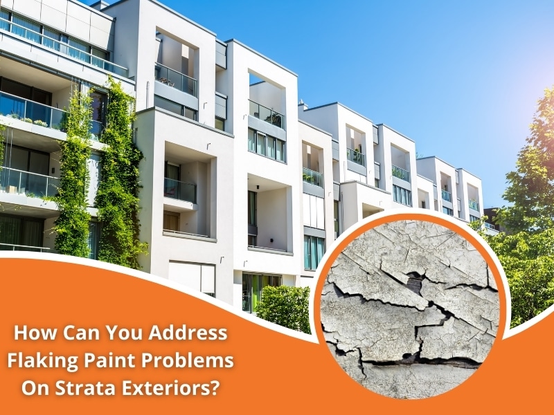 Flaking paint issue on modern strata exterior walls; addressing maintenance needs.